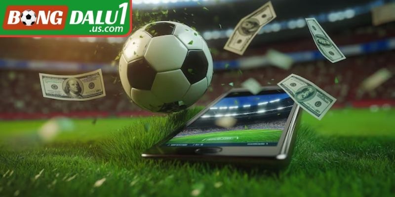 Hiểu đòn bẩy tỷ lệ của cược xiên kết hợp là gì?