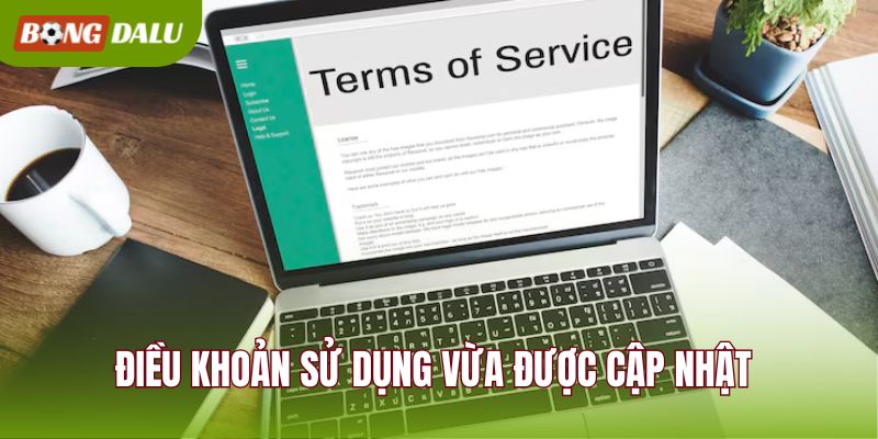 Điều khoản sử dụng vừa được cập nhật