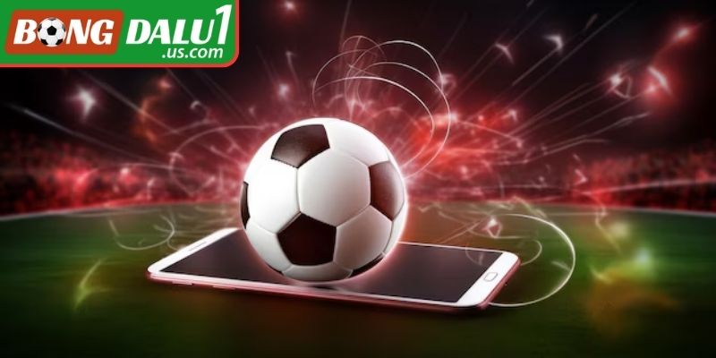 Kèo cơ hội kép là gì?