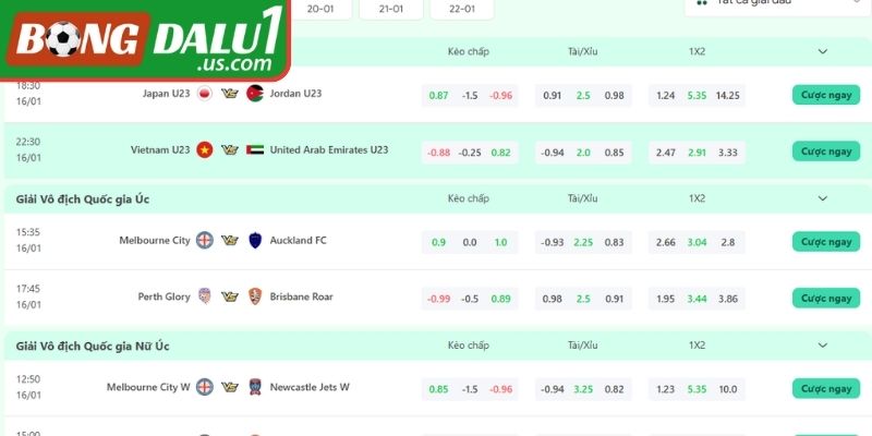 Khám phá chuyên mục lịch thi đấu bóng đá tại BONGDALU