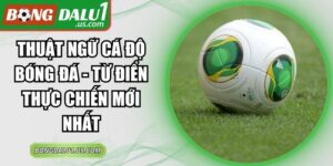 Thuật Ngữ Cá Độ Bóng Đá