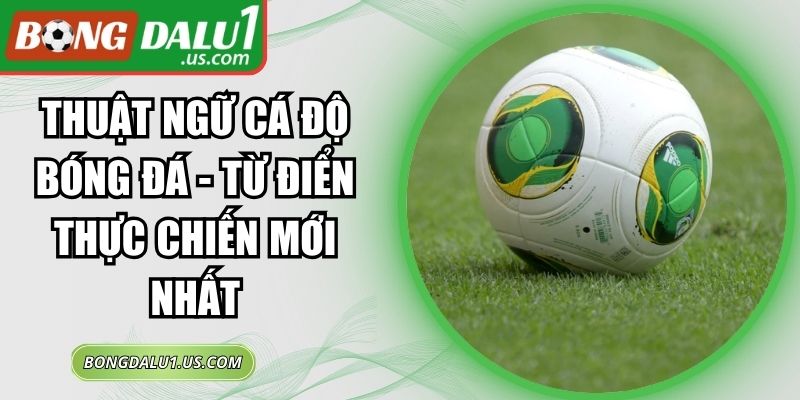 Thuật Ngữ Cá Độ Bóng Đá